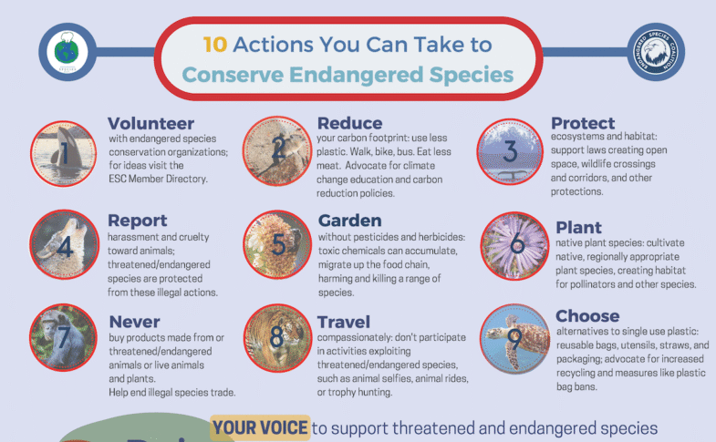 Endangered species protections